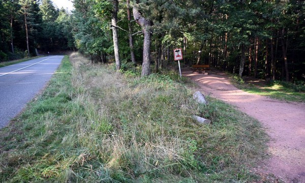 1 un prof de maths exécuté par balles en pleine forêt