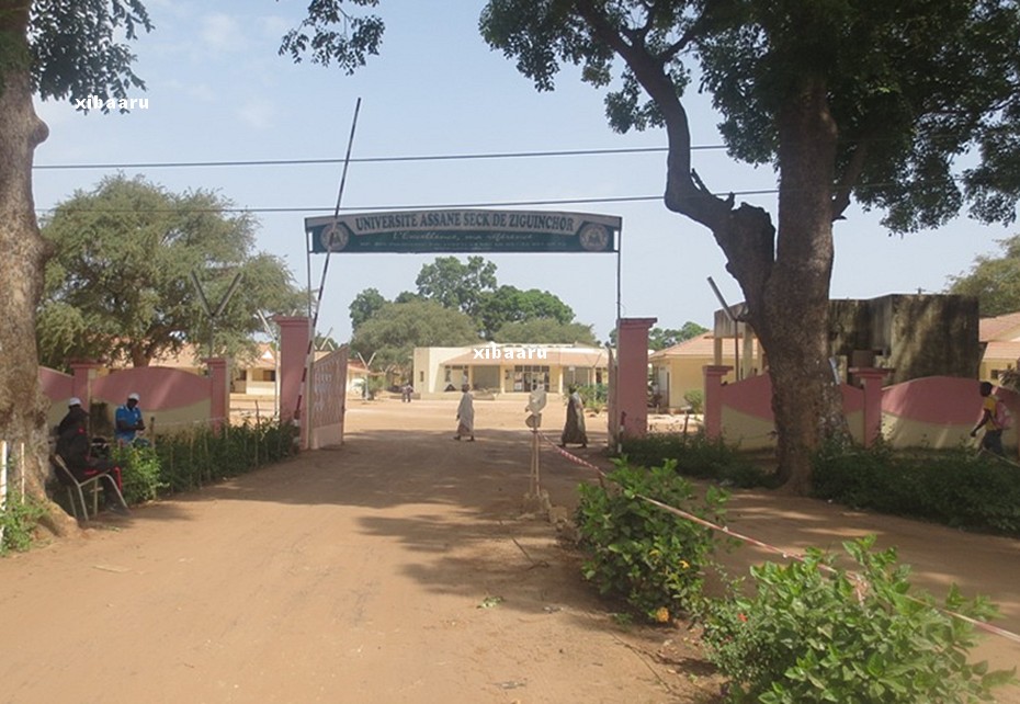 université assane seck de ziguinchor